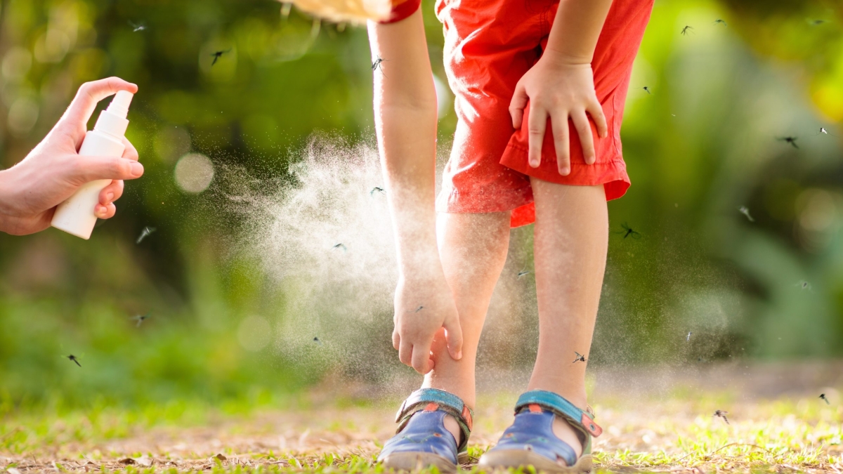 Zanzare, quali repellenti funzionano davvero? Metà dei prodotti di «bassa qualità», il test di Altroconsumo