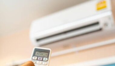 L’aria condizionata è di destra? La risposta al caldo record e la tutela dell’ambiente diventano un caso in Europa