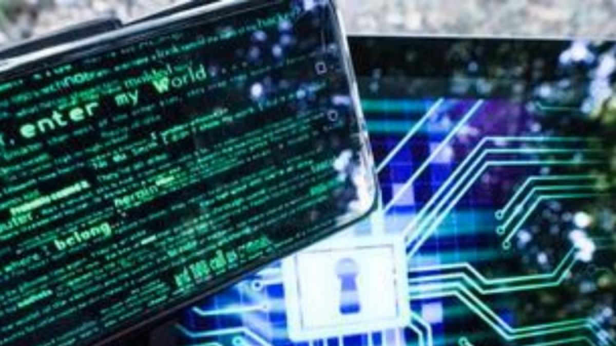 Siti e forum sessisti, caccia agli utenti delle piattaforme hard: «Oscurarle è difficile, i siti sono all'estero»