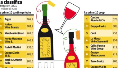 Vino, i 115 campioni italiani: le cantine da oltre 100 milioni, i re dell’export, le new entry (e i vigneti che rendono di più)