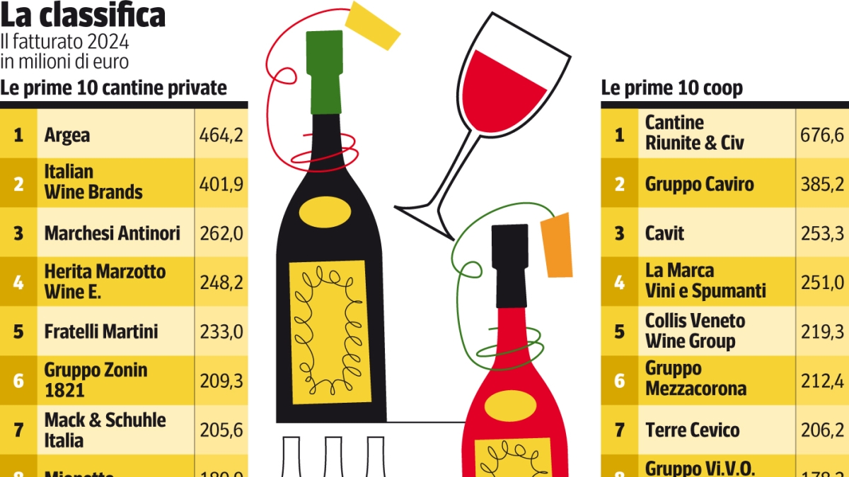 Vino, i 115 campioni italiani: le cantine da oltre 100 milioni, i re dell’export, le new entry (e i vigneti che rendono di più)