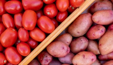 La patata è un pomodoro vecchio di nove milioni di anni