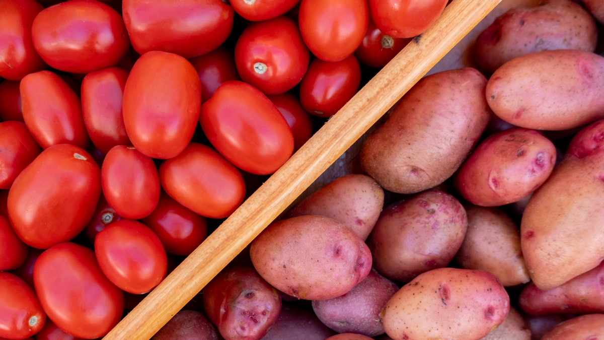 La patata è un pomodoro vecchio di nove milioni di anni