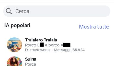 Meta AI, i chatbot creati dagli utenti su Instagram contengono (anche) bestemmie, insulti e nomi a sfondo sessuale