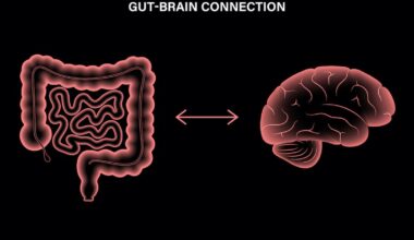 Intestino e cervello: scoperta la comunicazione diretta