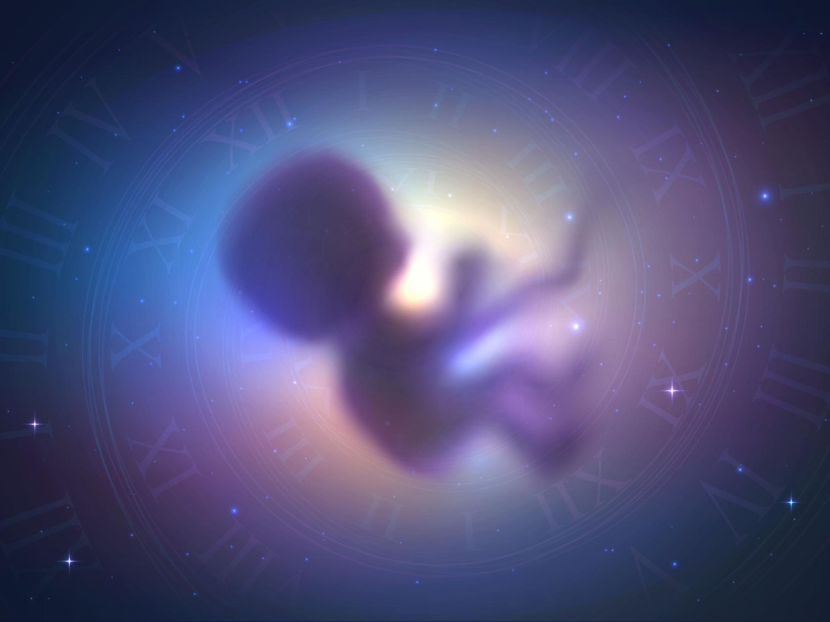 Dall'atto sessuale alla fecondazione fino al parto: nascere nello spazio sarebbe possibile? Che cosa dice la scienza