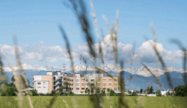 Torino, c'è la scabbia all'ospedale di Settimo Torinese: ottanta pazienti «fragili» in quarantena.
