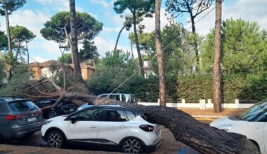 Nubifragio in Romagna, alberi caduti e danni: «Spiagge subito aperte». La Regione prepara lo stato di emergenza