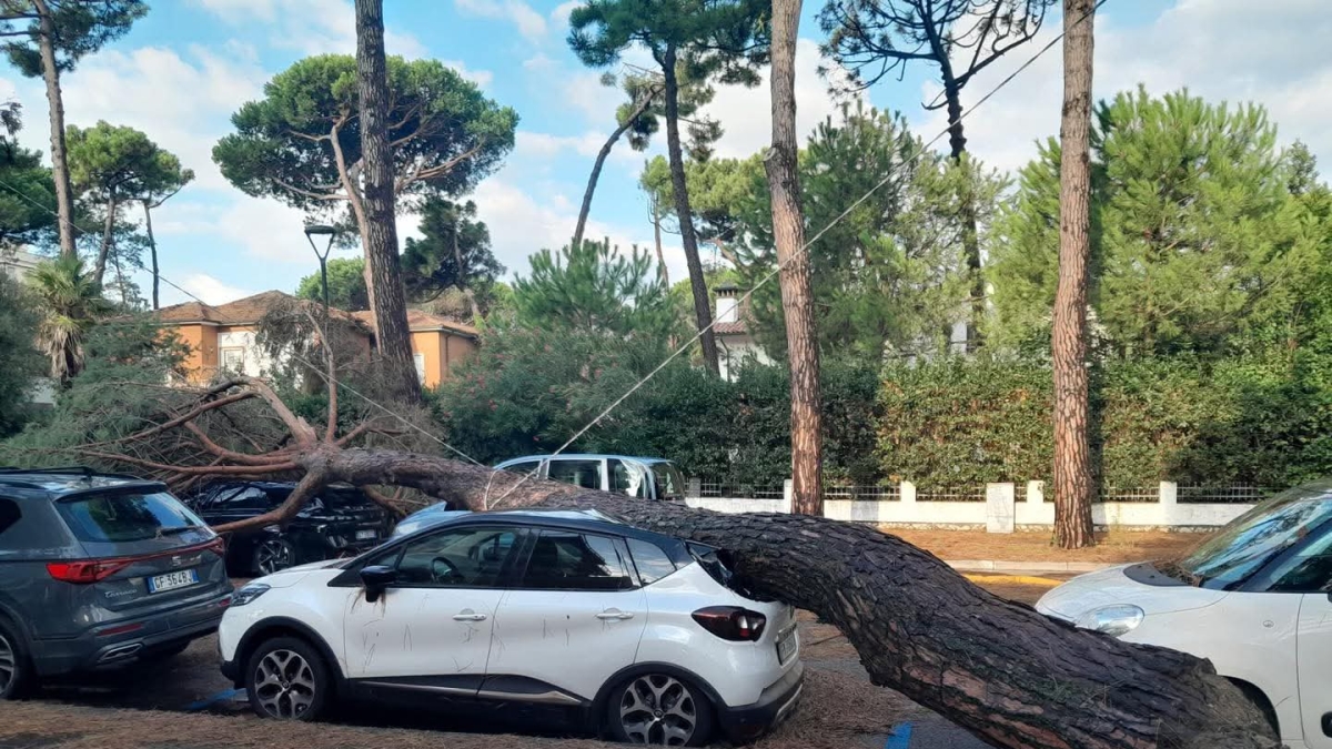 Nubifragio in Romagna, alberi caduti e danni: «Spiagge subito aperte». La Regione prepara lo stato di emergenza