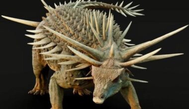 Scoperto in Marocco il «dinosauro punk»: è il più antico fossile di Spicomellus mai trovato