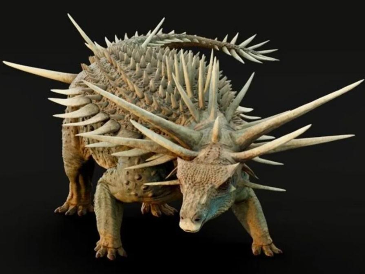 Scoperto in Marocco il «dinosauro punk»: è il più antico fossile di Spicomellus mai trovato