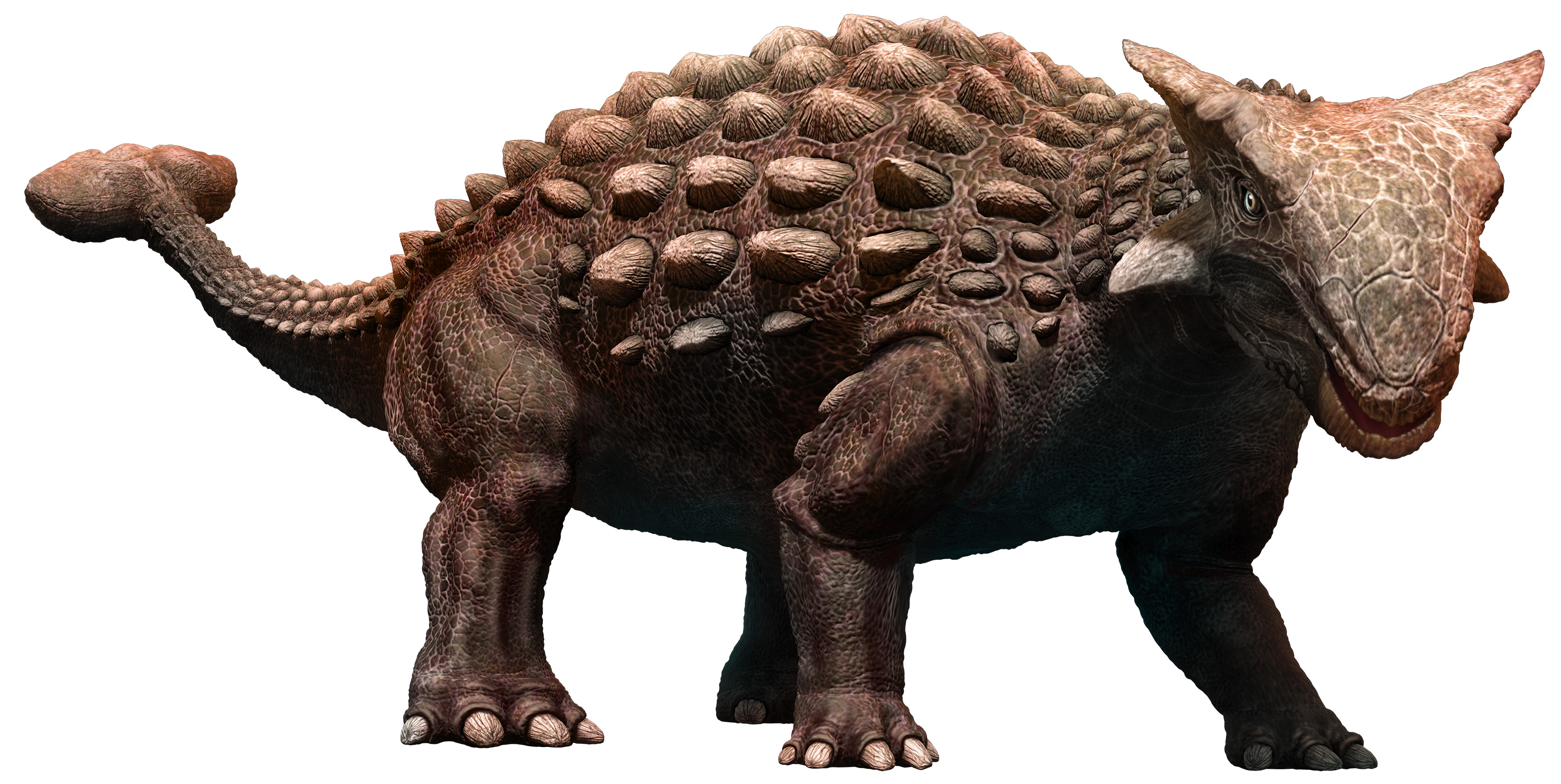 Scoperto in Marocco il «dinosauro punk»: è il più antico fossile di anchilosauro mai trovato