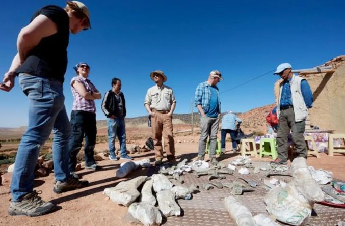 Scoperto in Marocco il «dinosauro punk»: è il più antico fossile di anchilosauro mai trovato