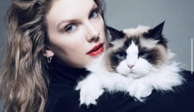 Taylor Swift, la svolta conservatrice della «gattara senza figli»? L'outsider si fa «principessa»