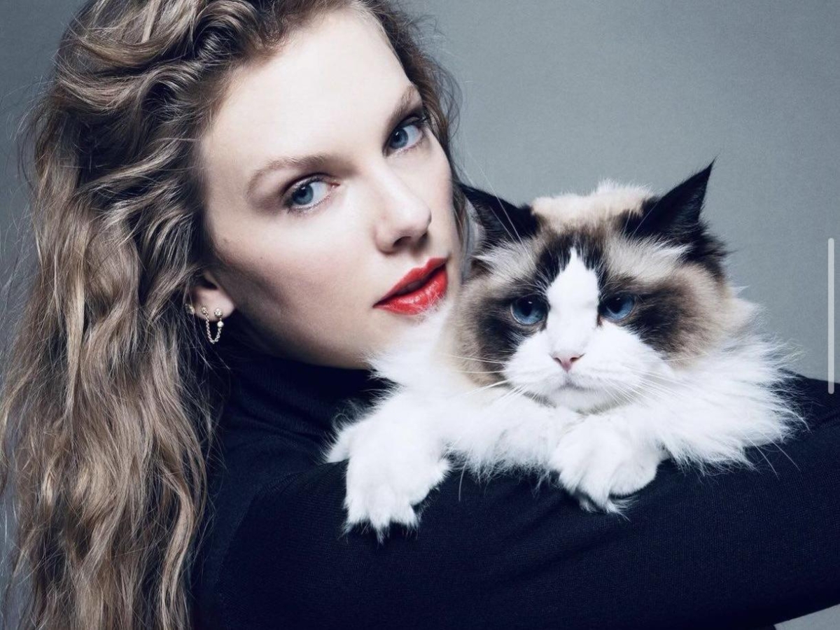 Taylor Swift, la svolta conservatrice della «gattara senza figli»? L'outsider si fa «principessa»