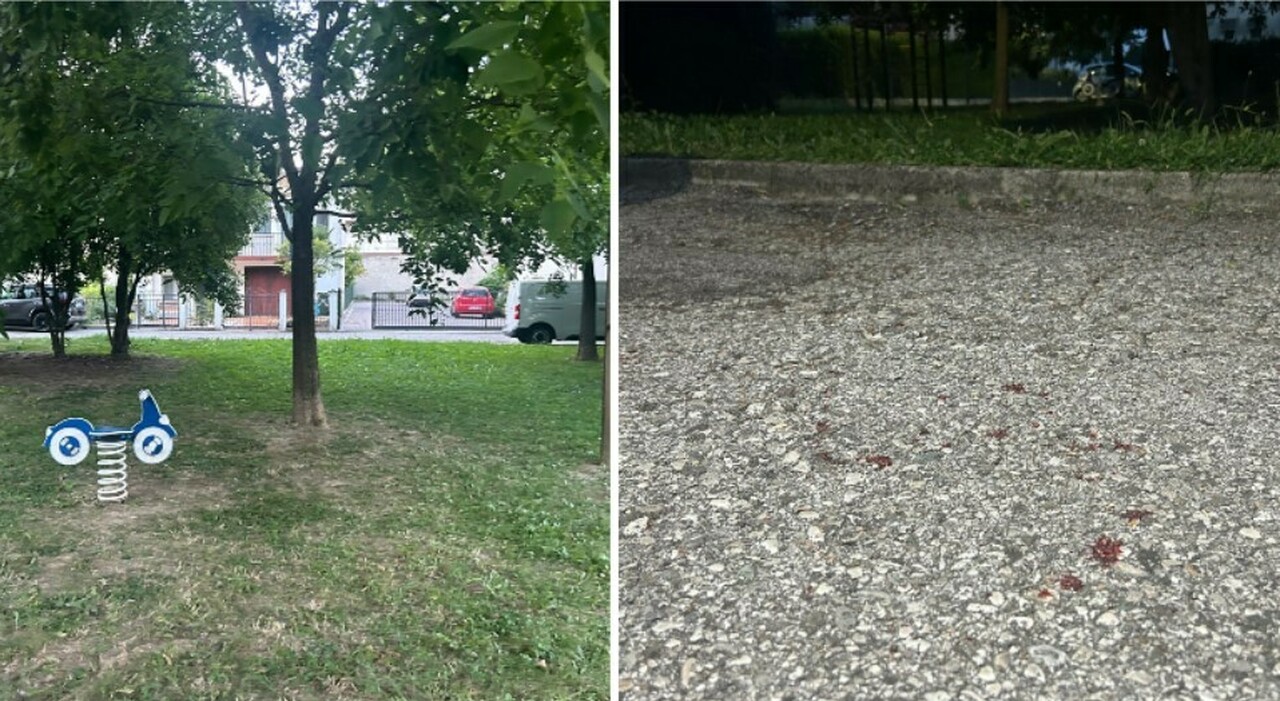 17enne colpito da diversi fendenti, è ricoverato. L'assalitrice sarebbe una ragazza