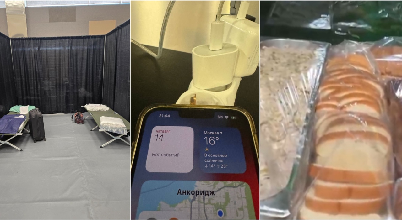 «Brandine per dormire, niente roaming e colazione vecchia di un giorno»