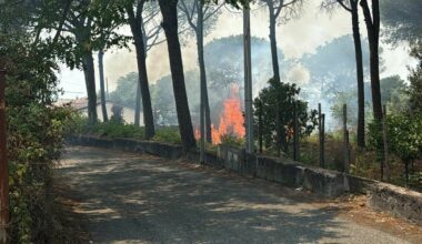 Ferragosto di paura nel parco del Vesuvio