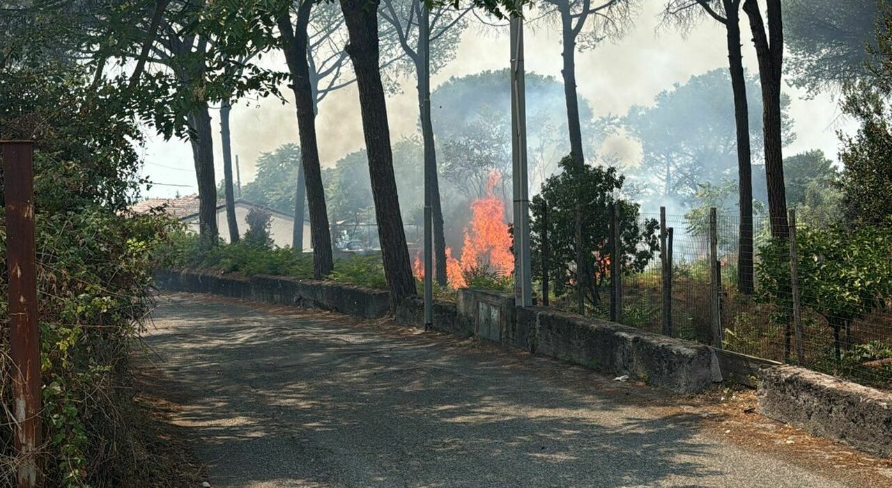 Ferragosto di paura nel parco del Vesuvio