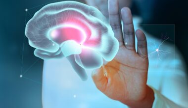 Alzheimer o semplice perdita della memoria? L