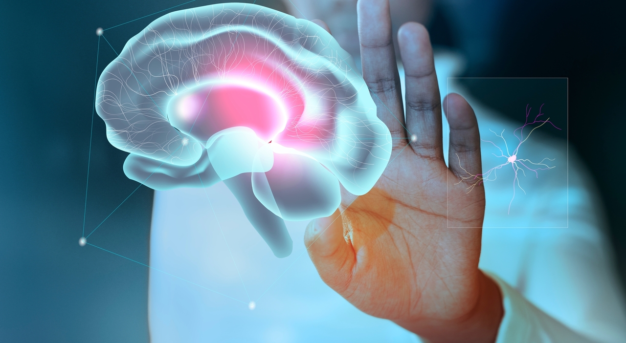 Alzheimer o semplice perdita della memoria? L