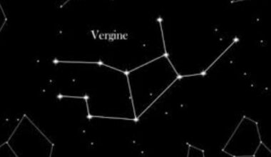 le critiche sono coltelli, l'ordine un must. Match con il Capricorno. Sagittario? Vade retro