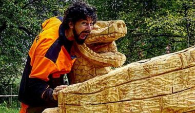 «Lavoro alberi malati per farne sculture»
