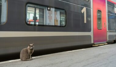 110 euro dopo le lamentele dei vicini