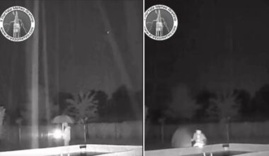 Lorenzo Sestini sfiorato da un fulmine, momenti di paura per il metereologo mentre cercava il suo gatto: «Ho sbagliato, mi è andata bene» - Leggo.it