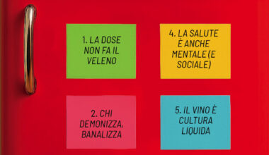 Il vino fa male alla salute? Il libro di Casadio e Grandi sfida i luoghi comuni sull'alcol | Il Fatto Quotidiano