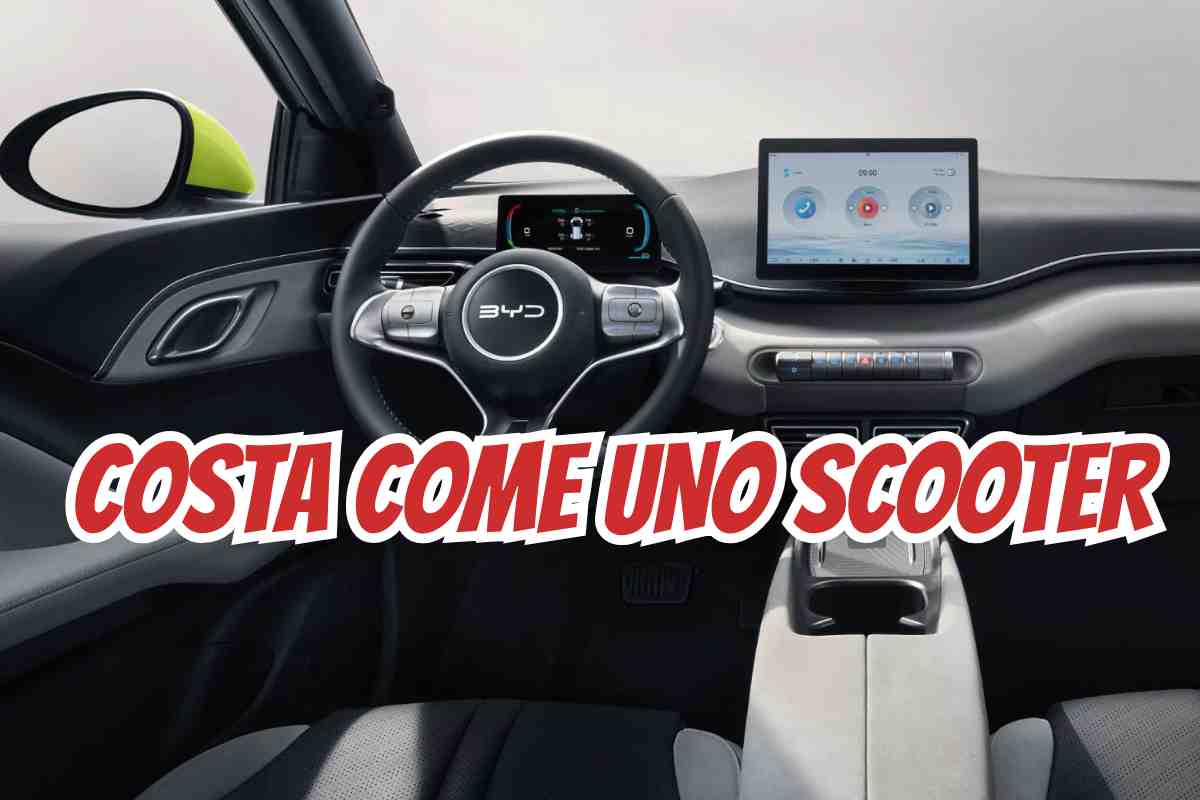 Anti Panda cinese
