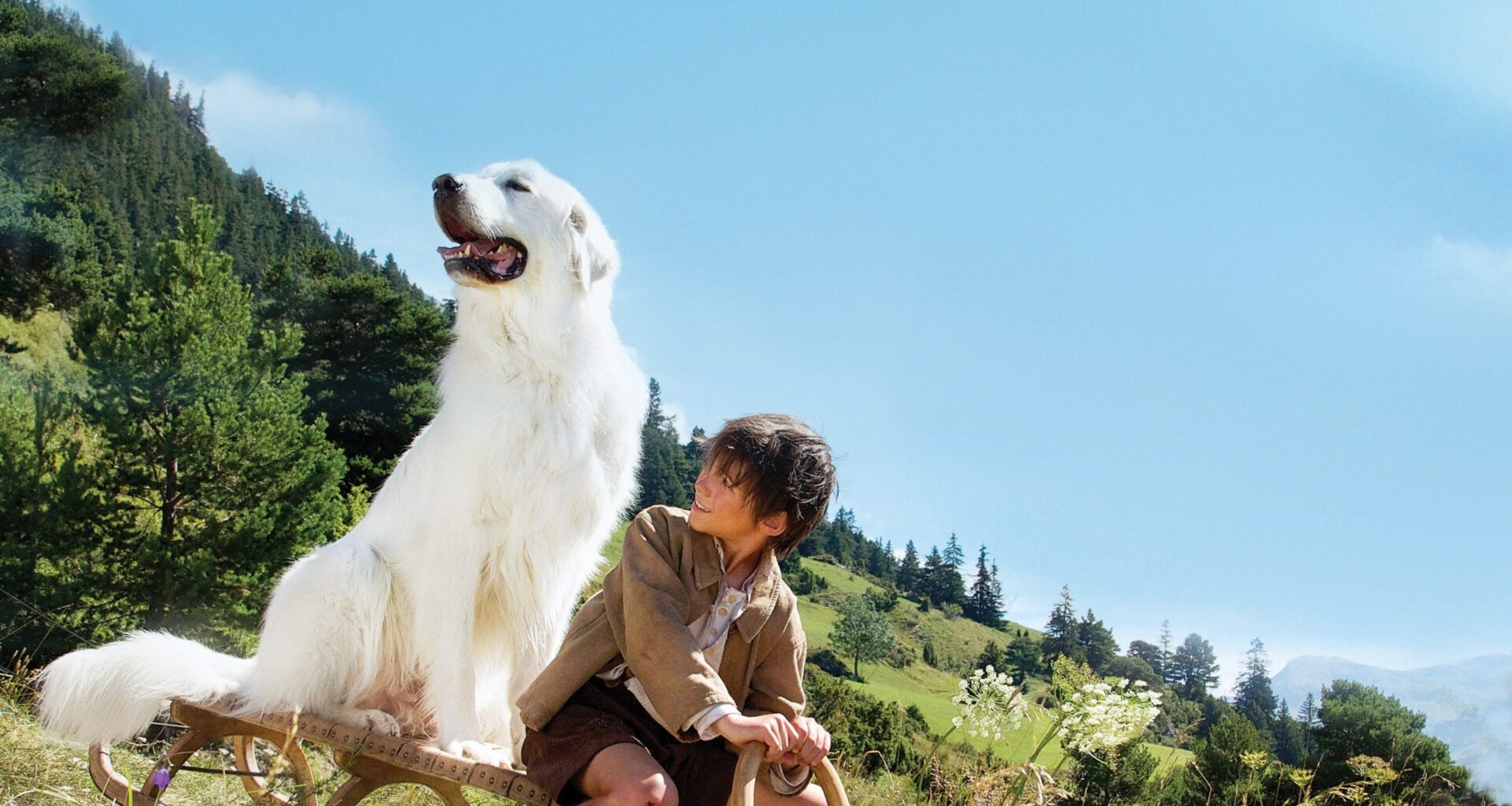 Ascolti TV | Martedì 12 Agosto 2025. Vince Belle & Sebastien (15%), Rai1 ferma all'11% con Tramite amicizia, bene il Radio Estate (9.4%)