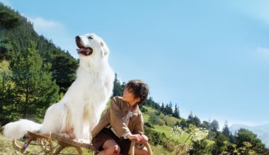 Ascolti TV | Martedì 12 Agosto 2025. Vince Belle & Sebastien (15%), Rai1 ferma all'11% con Tramite amicizia, bene il Radio Estate (9.4%)