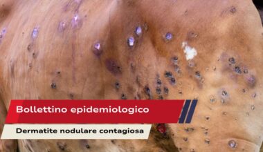 Bollettino epidemiologico -LSD