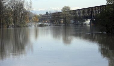Un 23enne è annegato nel Po vicino al Ponte della Becca nel Pavese