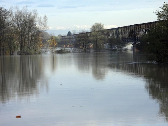 Un 23enne è annegato nel Po vicino al Ponte della Becca nel Pavese