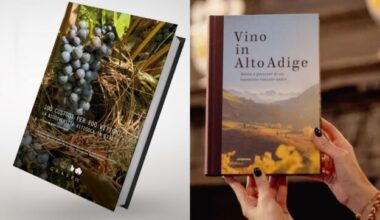 ALDO LORENZONI, ALTO ADIGE, CONSORZIO VINI ALTO ADIGE, GRASPO, LIBRI, OIV, OIV AWARDS, Mondo
