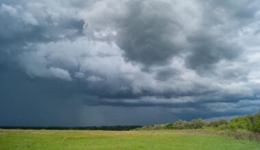Maltempo in Toscana: in arrivo temporali, grandine e colpi di vento