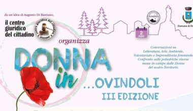 DONNA-IN