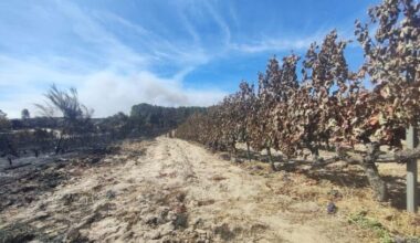 Vicinanza del Cervim ai viticoltori della Galizia colpiti dagli incendi - Valledaostaglocal.it