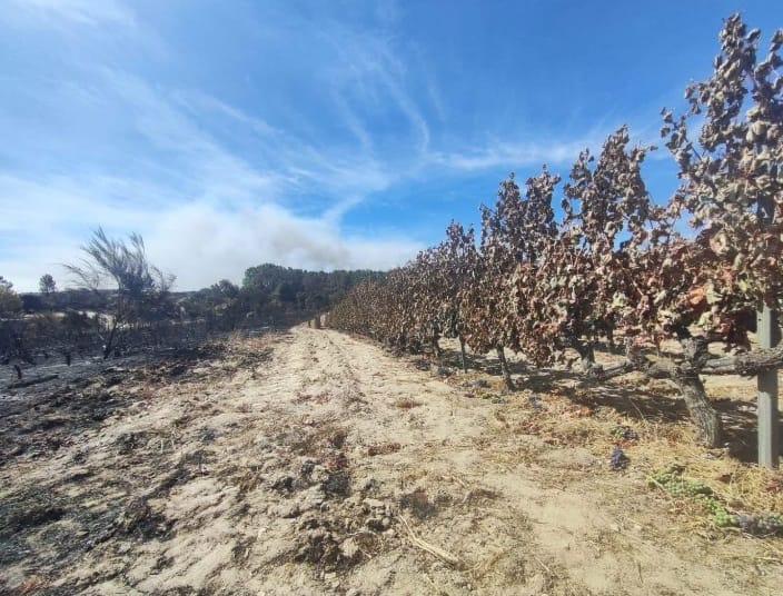 Vicinanza del Cervim ai viticoltori della Galizia colpiti dagli incendi - Valledaostaglocal.it