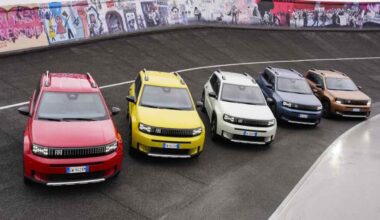 Scatta la denuncia da parte dei proprietari, la Grande Panda mette nei guai Fiat | La casa piemontese registra la sconfitta