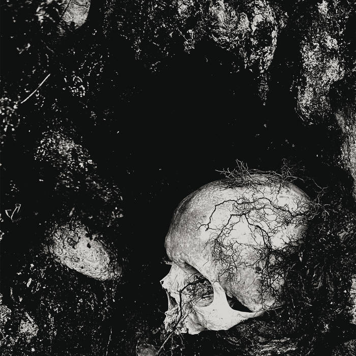 CHELMNO - Decadence Of Ego