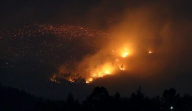 record 2025, distrutti 216.000 e 343.000 ettari