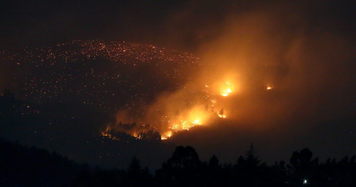 record 2025, distrutti 216.000 e 343.000 ettari