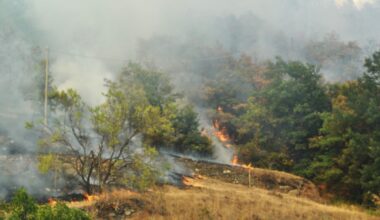 Agricoltura in ginocchio, la Valle d’Aosta lancia il suo grido d’allarme - Valledaostaglocal.it
