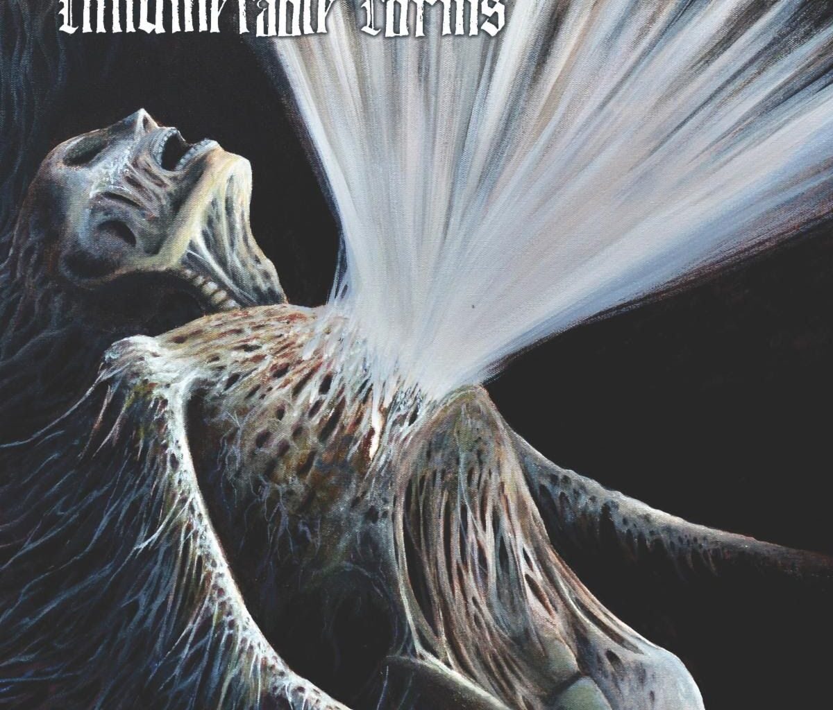INNUMERABLE FORMS - Pain Effulgence