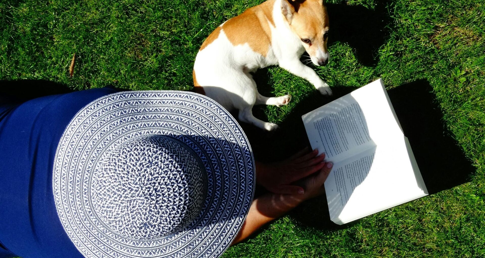In vacanza con un libro: consigli di lettura