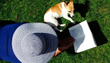 In vacanza con un libro: consigli di lettura