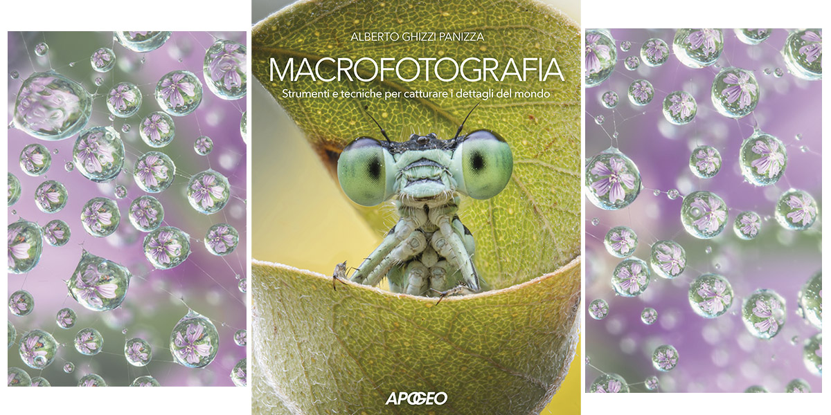 Macrofotografia Alberto Ghizzi Panizza manuale